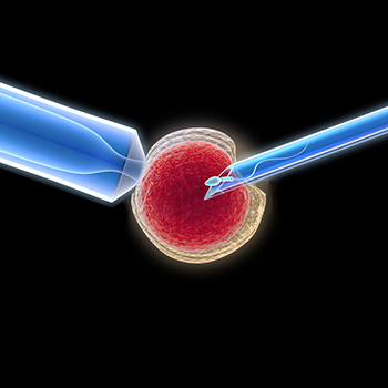 international IVF options